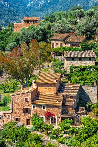 Beautiful view of old mediterranean houses of Fornalutx by Alex Winter