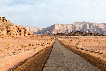 timna national park in israel in the negev woestijn van ChrisWillemsen