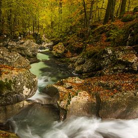 Heldere rivier in bos tijdens herfst in Slovenië van Gunther Cleemput