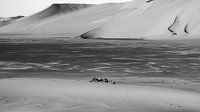 In de Sahara van Roland Brack thumbnail