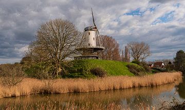 Die Kuh von Veere von Ria Overbeeke
