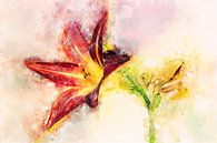 Flowers18 by Silvia Creemers thumbnail