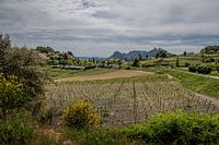 Provence