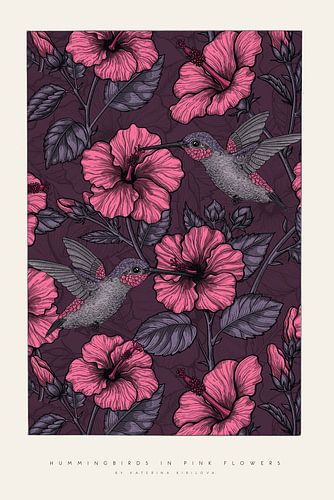 Kolibris und pinke Blüten