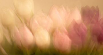 Schilderachtig tulpenboeket I