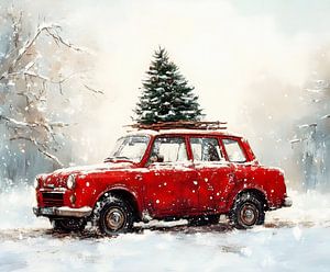 Zeit für den Weihnachtsbaum