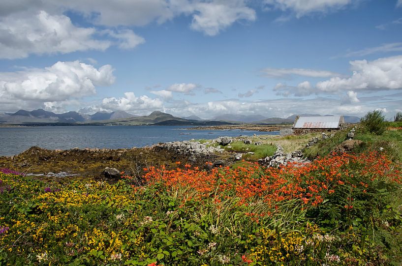 Ierland by Jan de Jong