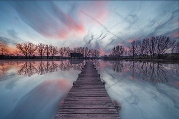 Blauw uur bij de vijver van Markus Weber