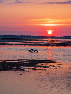 Zonsopgang in de Waddenzee op het eiland Amrum