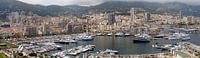 Monaco panorama par Carel van der Lippe Aperçu