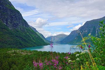 Terugblik op het Lovatnet meer van Frank's Awesome Travels