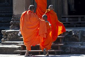 Im Fluss der Stille – Mönche in Angkor Wat