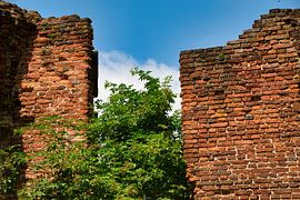 Baum in Trümmern von Heidi de Vries