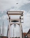 The Long Bridge by Sam ter Veer thumbnail