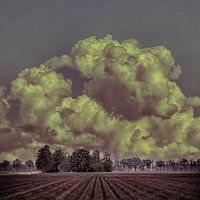 Champ avec nuage d'orage