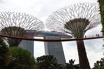 Marina Bay Area, Garden by the Bay, Singapur