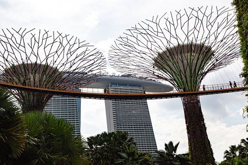 Marina Bay Area, Garden by the Bay, Singapour sur Roy Manuhutu