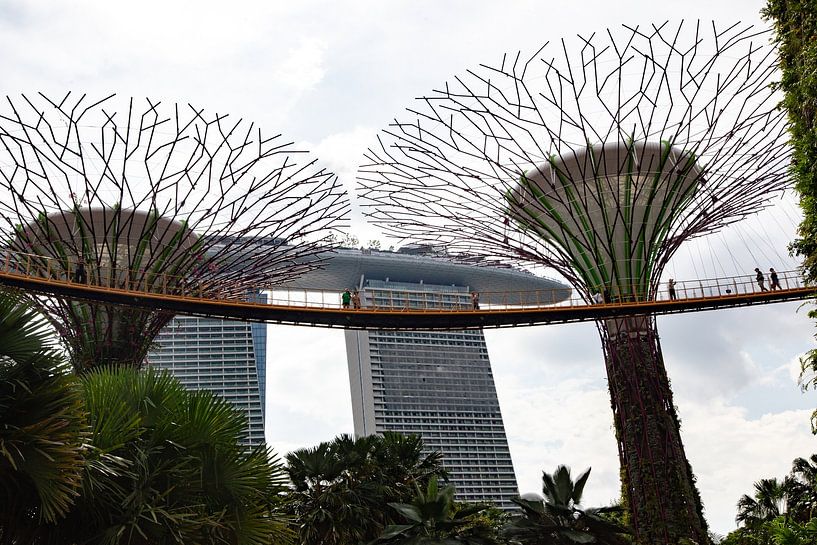 Marina Bay Area, Garden by the Bay, Singapore by Roy Manuhutu