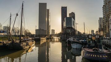 Maritiem district in Rotterdam