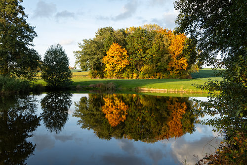 Autumnal reflections of the trees
