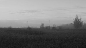 Polderlandschaft in Schwarz-Weiß