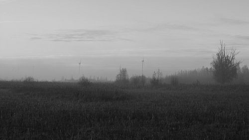 Paysage de polders en noir et blanc