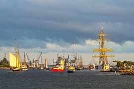 Segelschiffe auf dem Neuen Strom während der Hanse Sail in Rost von Rico Ködder