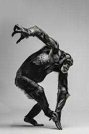 Ballerina Affe von Poster Art Shop