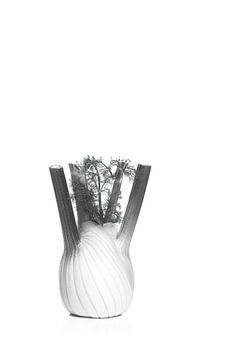 Fennel in black and white by Elles Rijsdijk