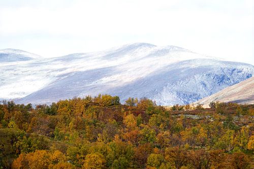 Paysage Norvège