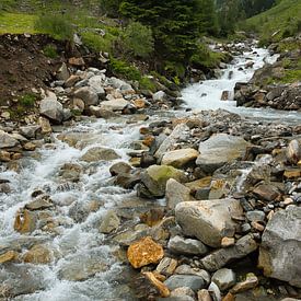 🏔️ The Flowing Soul of the Alps by Saranda in 't Veld Fotografie