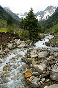 ?️ De Stromende Ziel van de Alpen van Saranda in 't Veld Fotografie