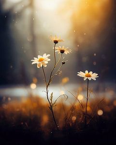 Wildblume zum Sonnenuntergang