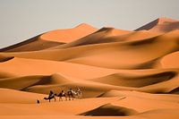 Desert picture with camels and rider