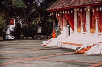 Junger Mönch in Luang Prabang | Laos | Reisefoto