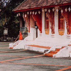 Jonge monnik in Luang Prabang | Laos | Reisfoto van Expeditie Aardbol