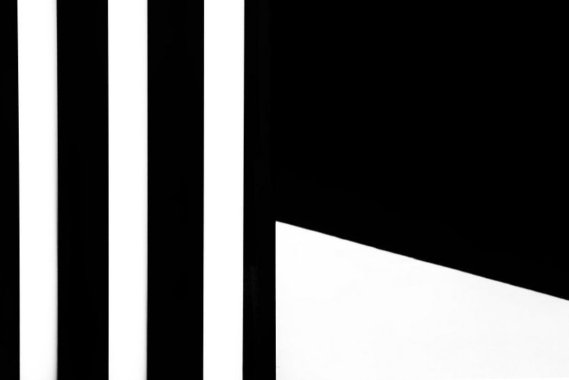 verticals in black and white by Barbara Litke