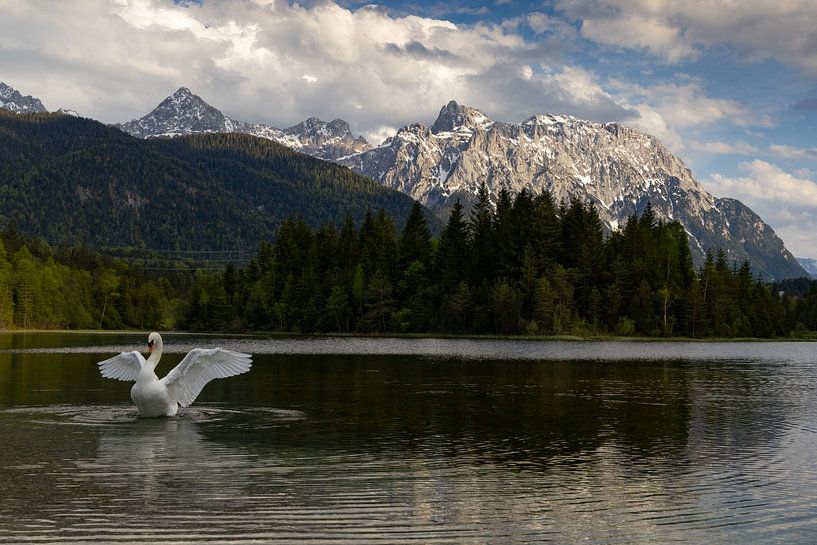Montagnes Karwendel avec cygne par Andreas Müller