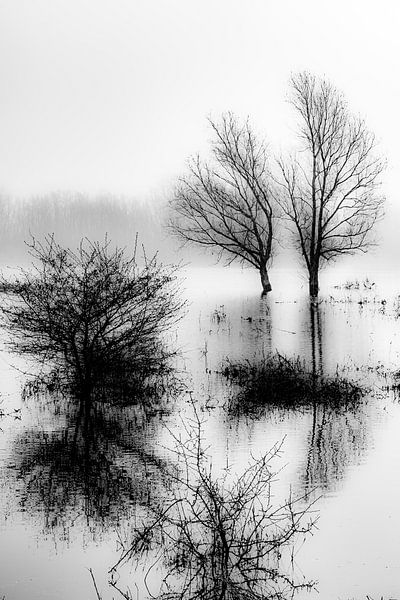 Meinerswijk Uiterwaardenpark, Arnhem by Eddy Westdijk
