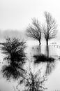 Meinerswijk Uiterwaardenpark, Arnhem by Eddy Westdijk thumbnail
