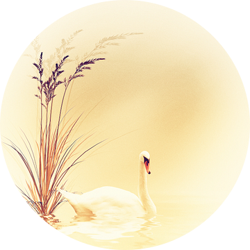white swan van Dagmar Marina