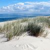 Dune landscape in the elbow on Sylt by Martin Flechsig