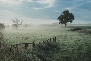 am frühen morgen