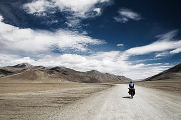 More Plains in India van Ellen van Drunen