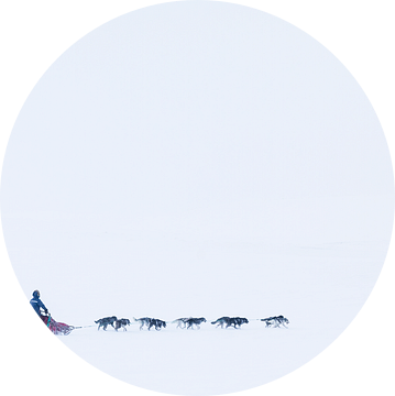 Husky sledeteam in een verlaten sneeuw landschap van Martijn Smeets