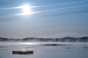 Schwimminsel in einem schwedischen See