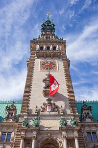 Hôtel de ville de Hambourg, Hambourg, Allemagne