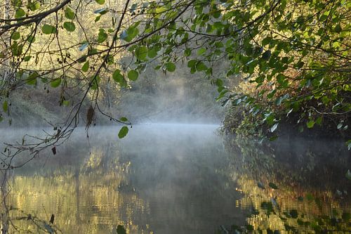 dragged in the depth