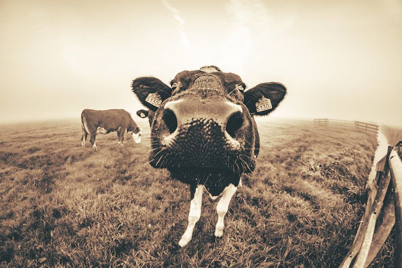 Hallo daar! par Jordy Kortekaas