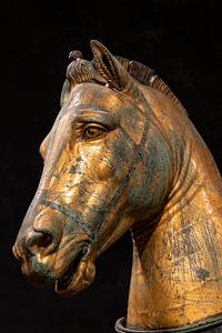 Bronze Pferdekopf Venedig